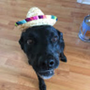 Meet your Posher, Reece